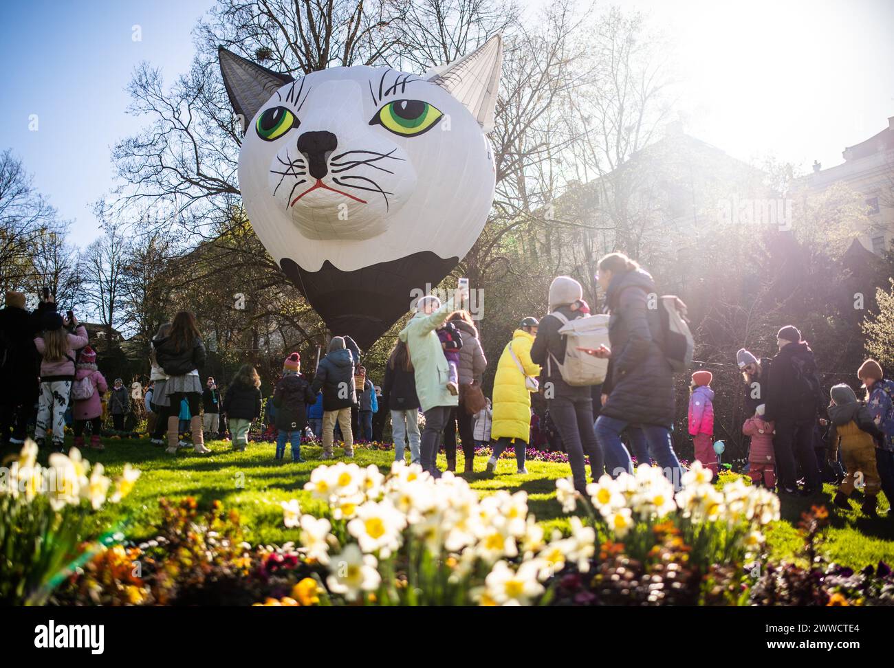 Cat in a hot air balloon hi-res stock photography and images - Alamy