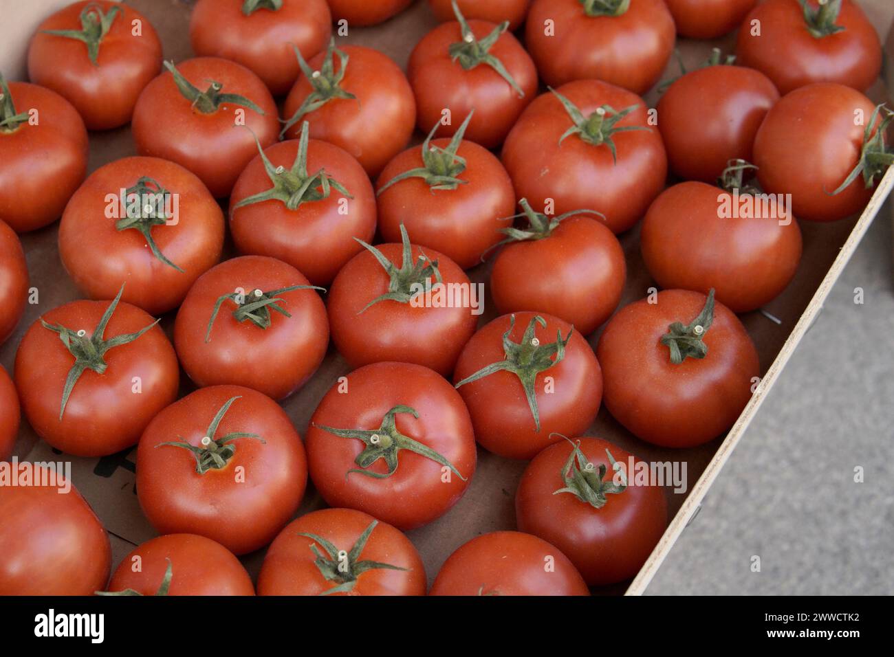 Tomatoes lying on a pile on top of each other, tomato texture. Selective focus. Stock Photo