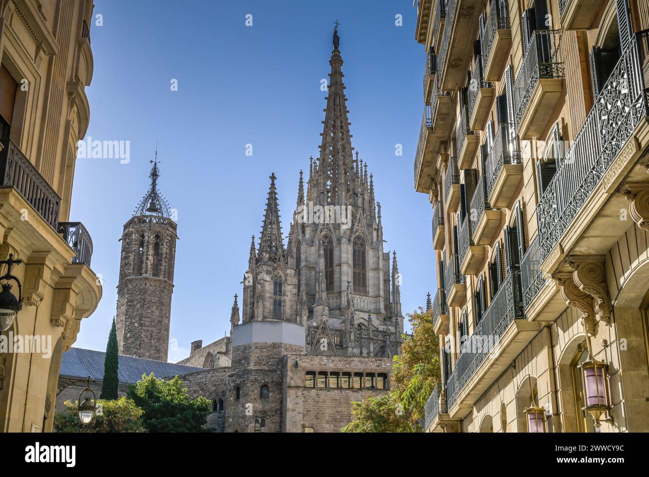 Altstadt, Kathedrale, Catedral de la Santa Creu i Santa Eulalia, Barcelona, Katalonien, Spanien Stock Photo