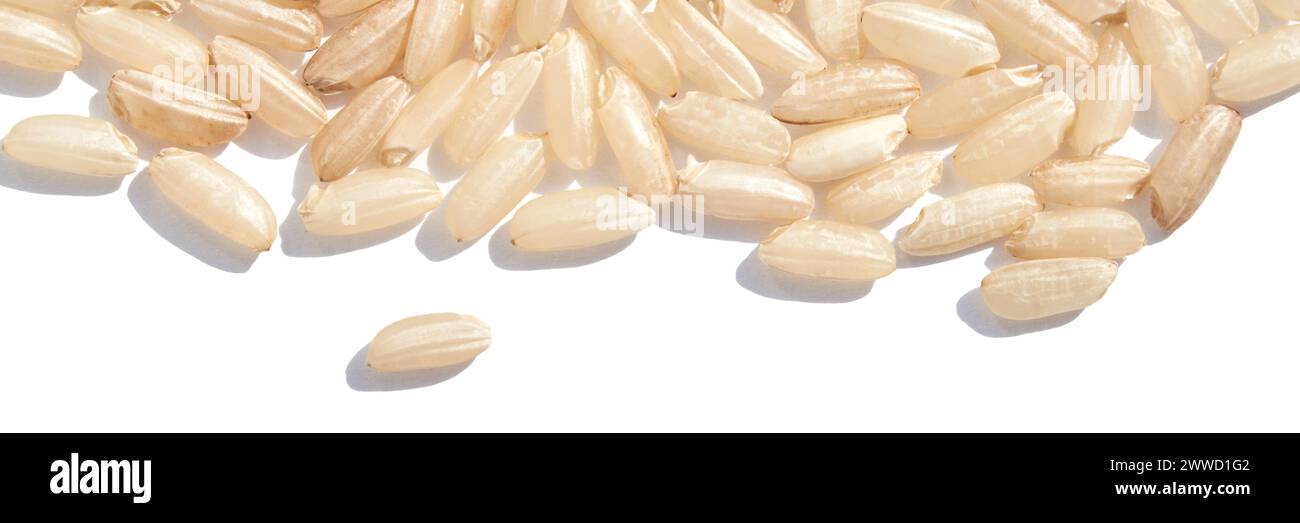 A background of dry brown rice grains showcases the integral, uncooked ...