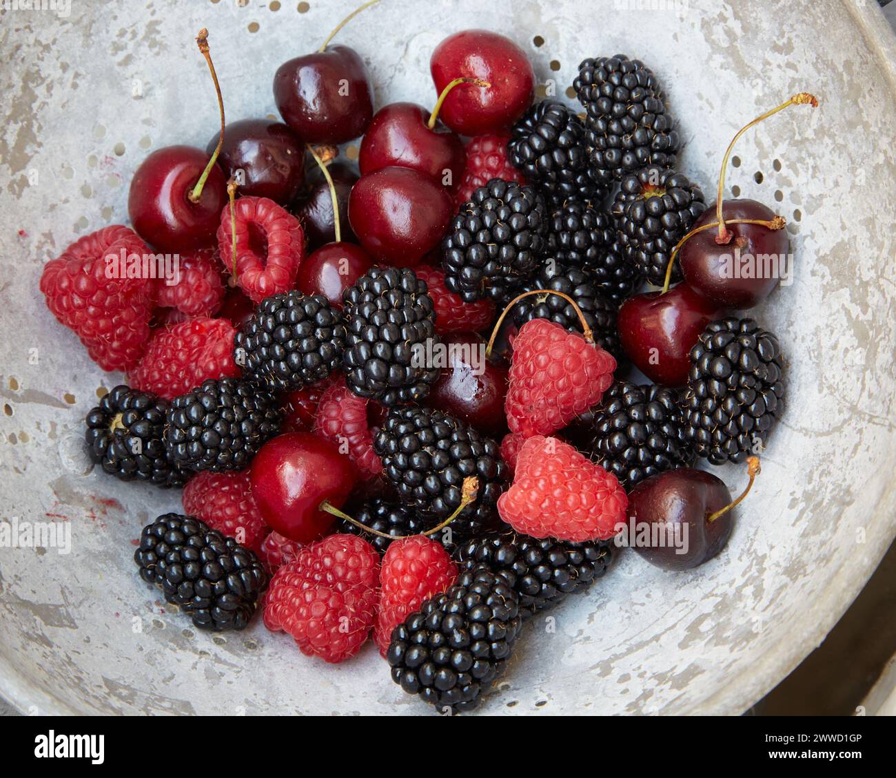 Group of Mixed Berries in an Aluminum Strainer Stock Photo