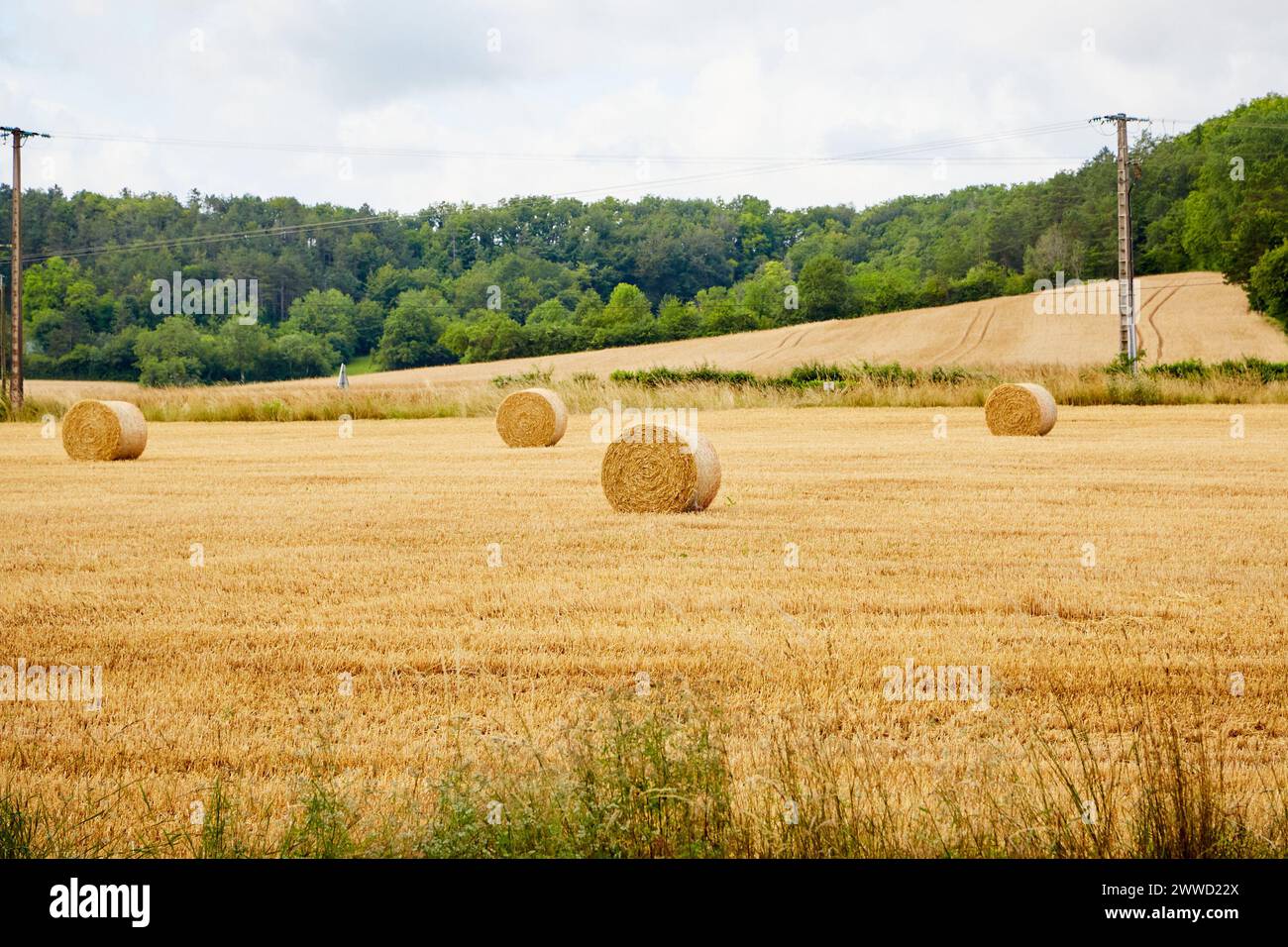 Rolls of Hay in a Field with Telephone Wires Running Through Stock Photo