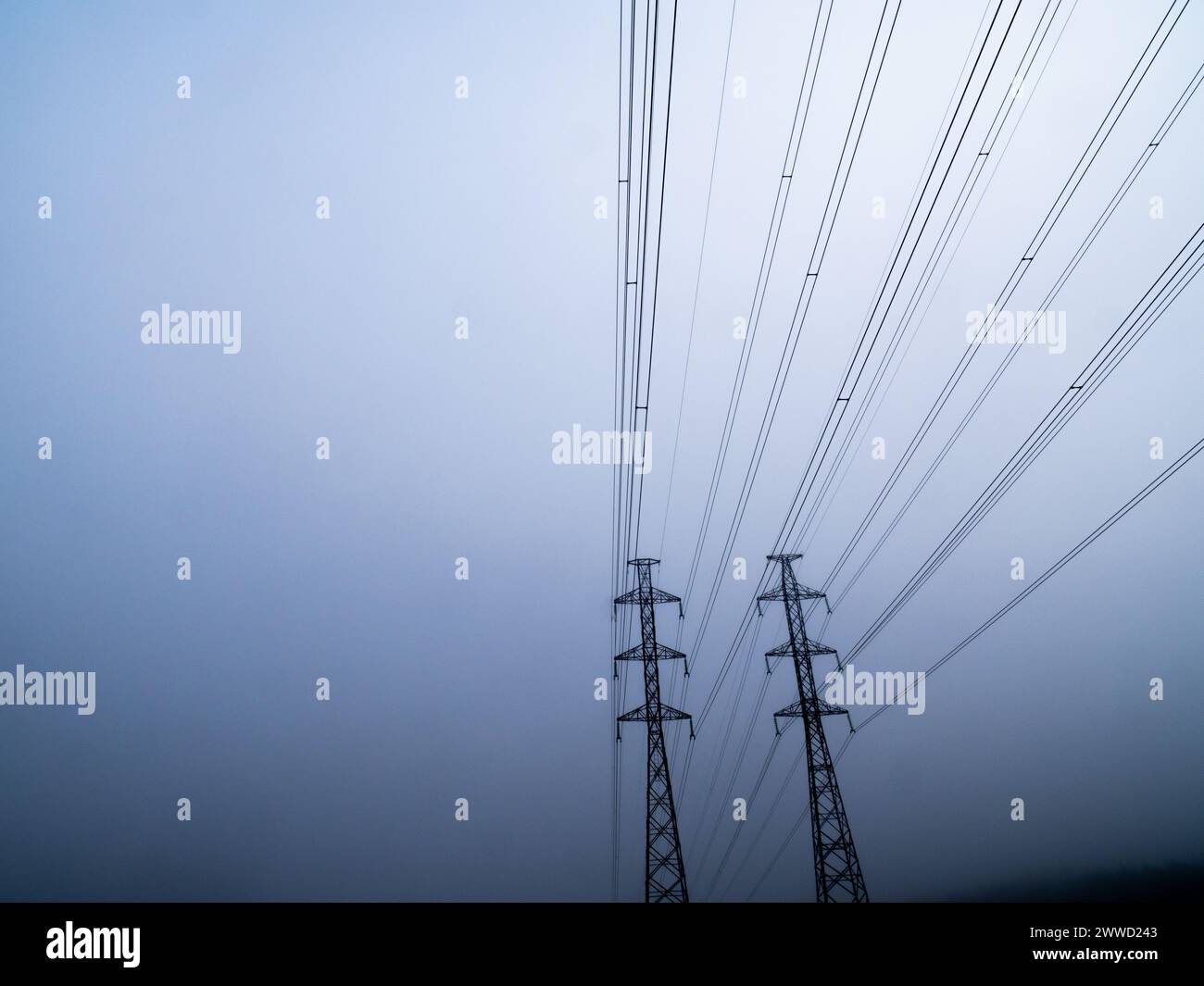 High voltage power line silhouette in foggy morning against white sky Stock Photo