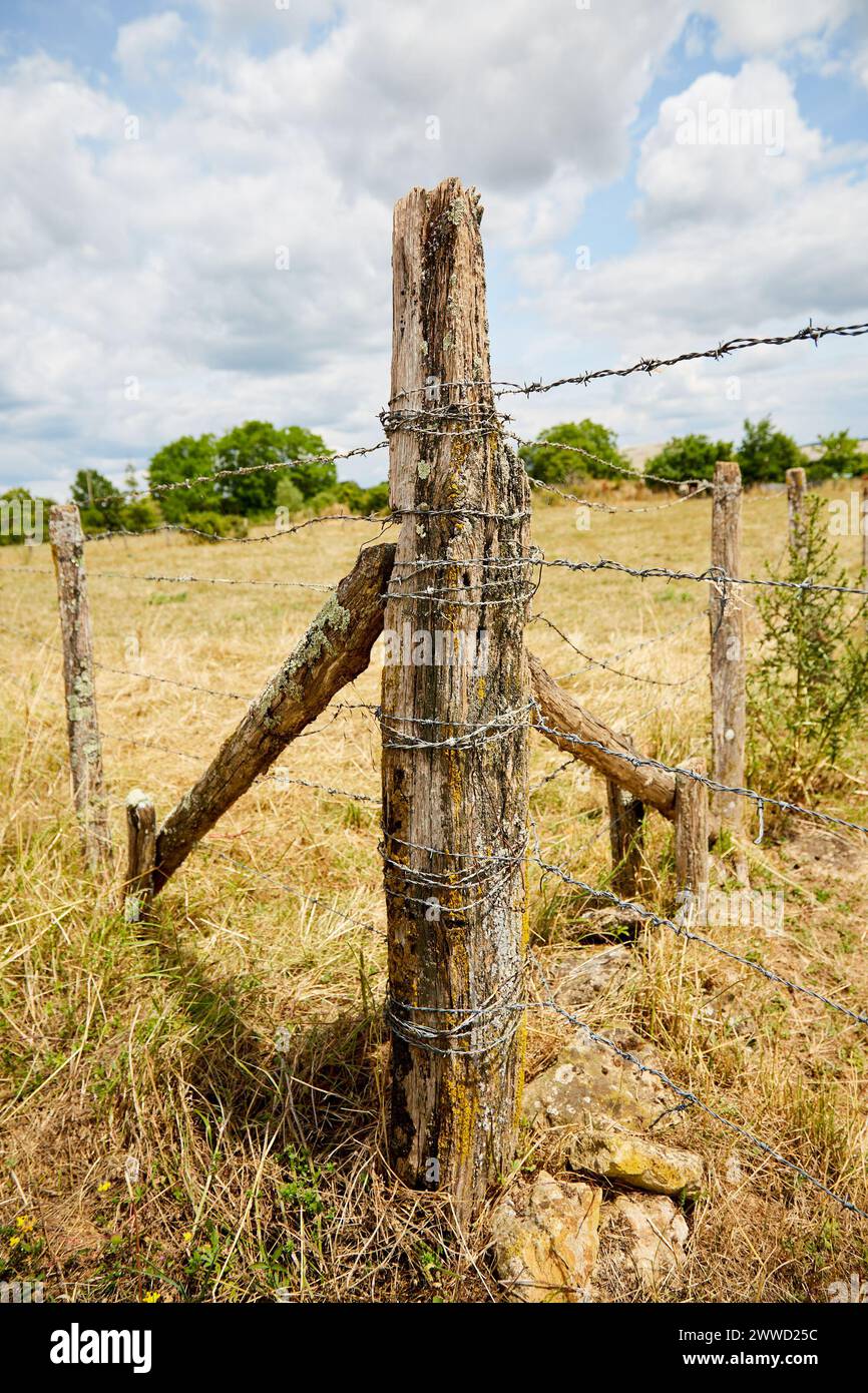 Barbed Wire Wrapped around a Fence Post of Old Wooden Posts Stock Photo