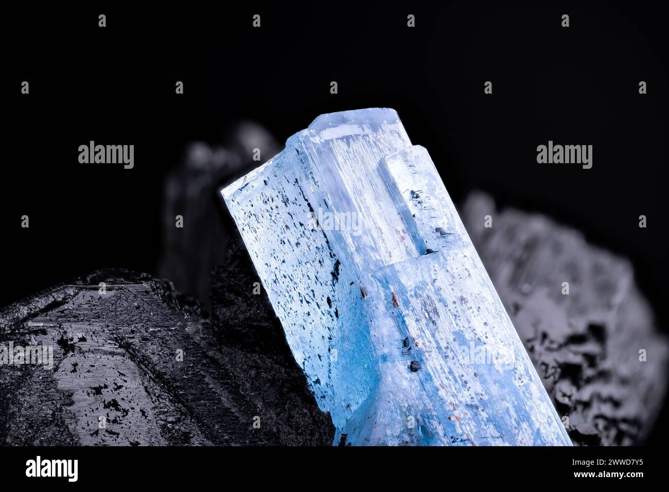 Aquamarine (blue beryl) on schorl (black tourmaline) macro photography detail texture background. From Namibia. close-up raw rough unpolished semi-pre Stock Photo