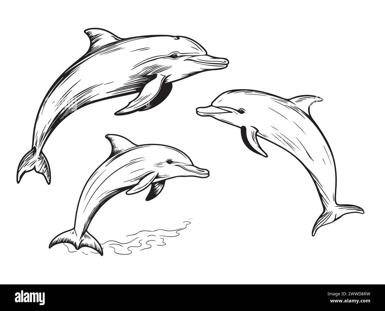 Dolphins jumping hand drawn sketch Vector dolphins Stock Vector