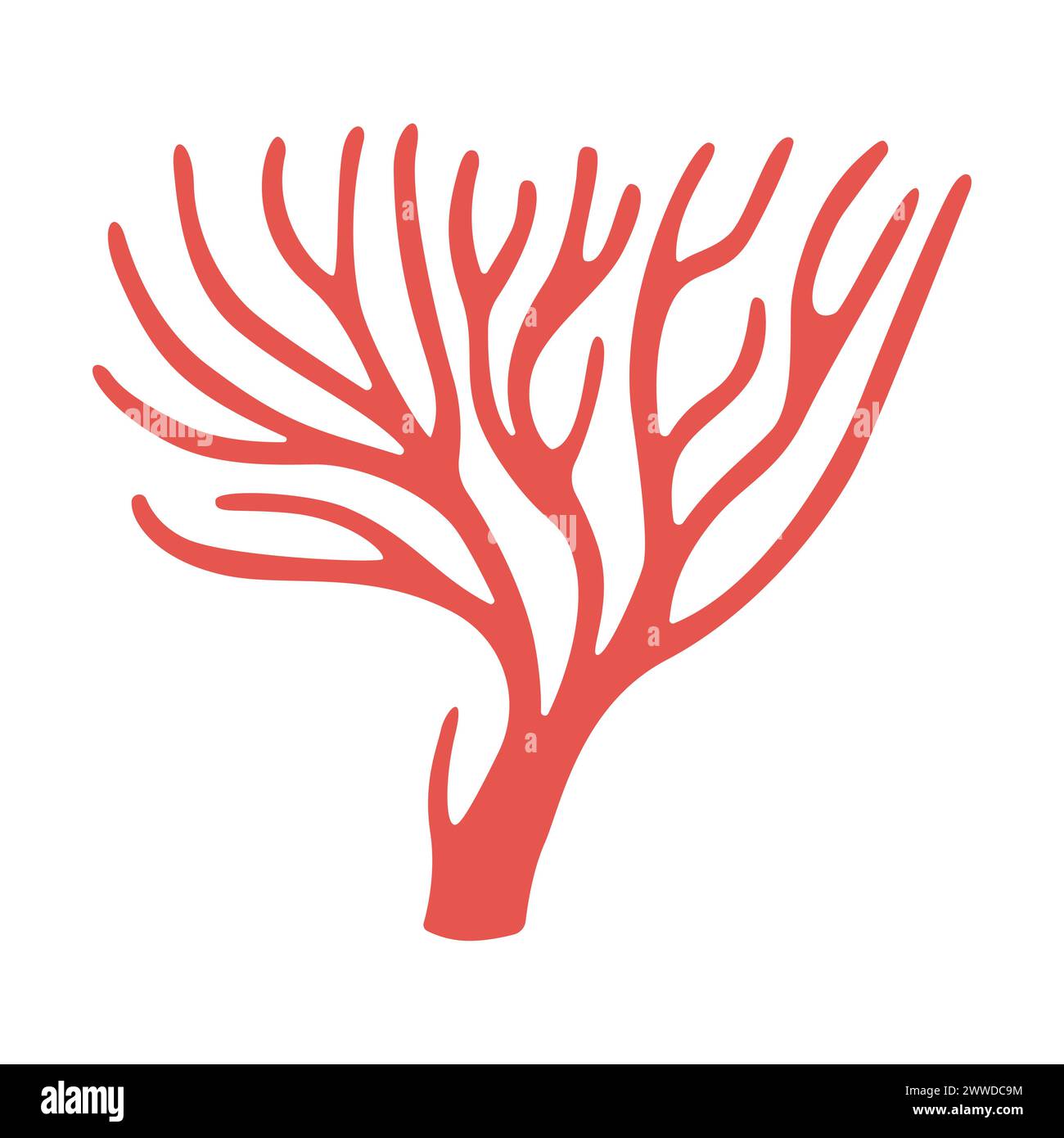 Red corals Hand drawn Precious coral. Exotic coral reef underwater