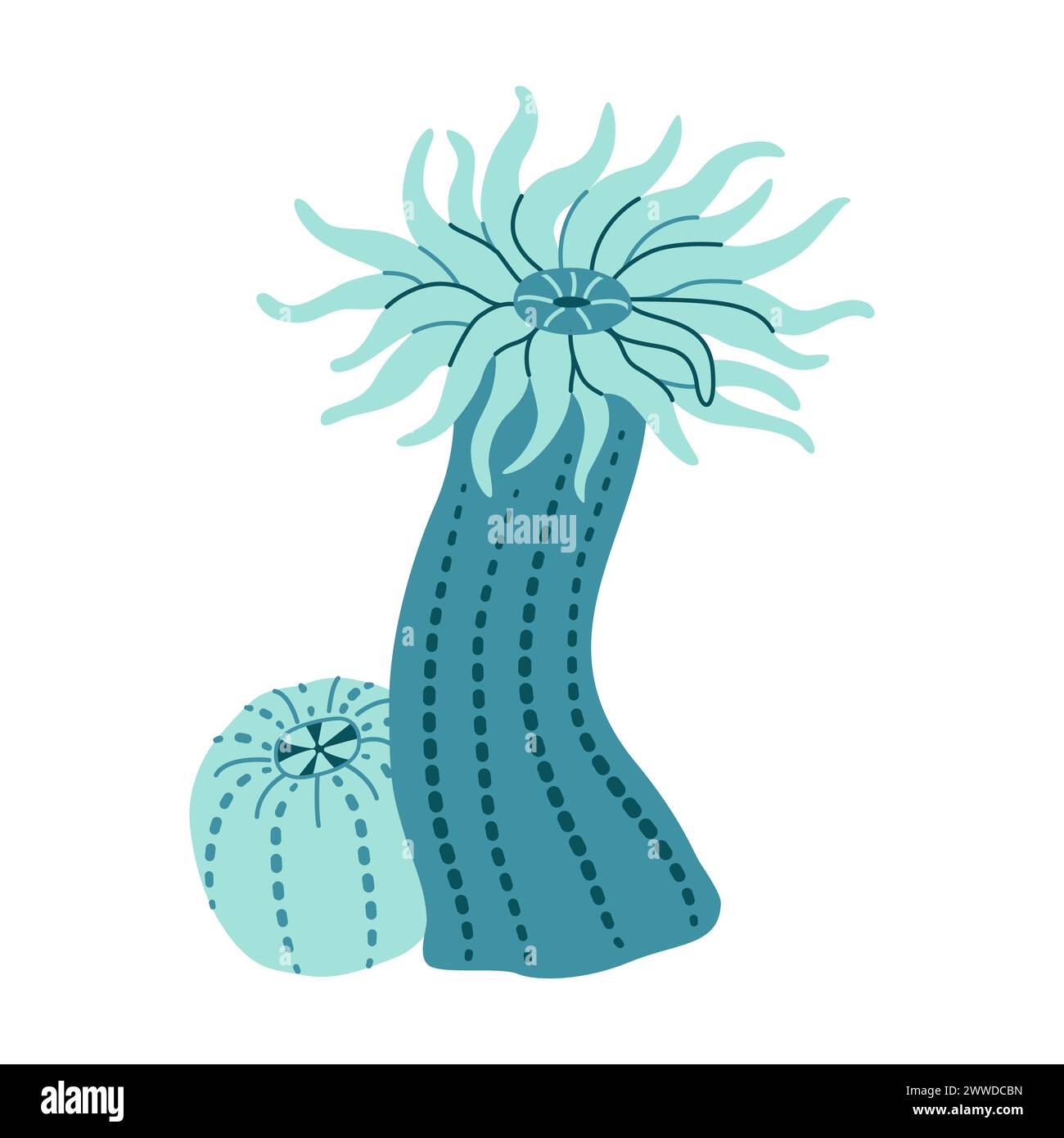 Sea anemones hand drawn. Actiniaria. Exotic coral reef underwater nature life. Modern flat illustration. Vector illustration Stock Vector