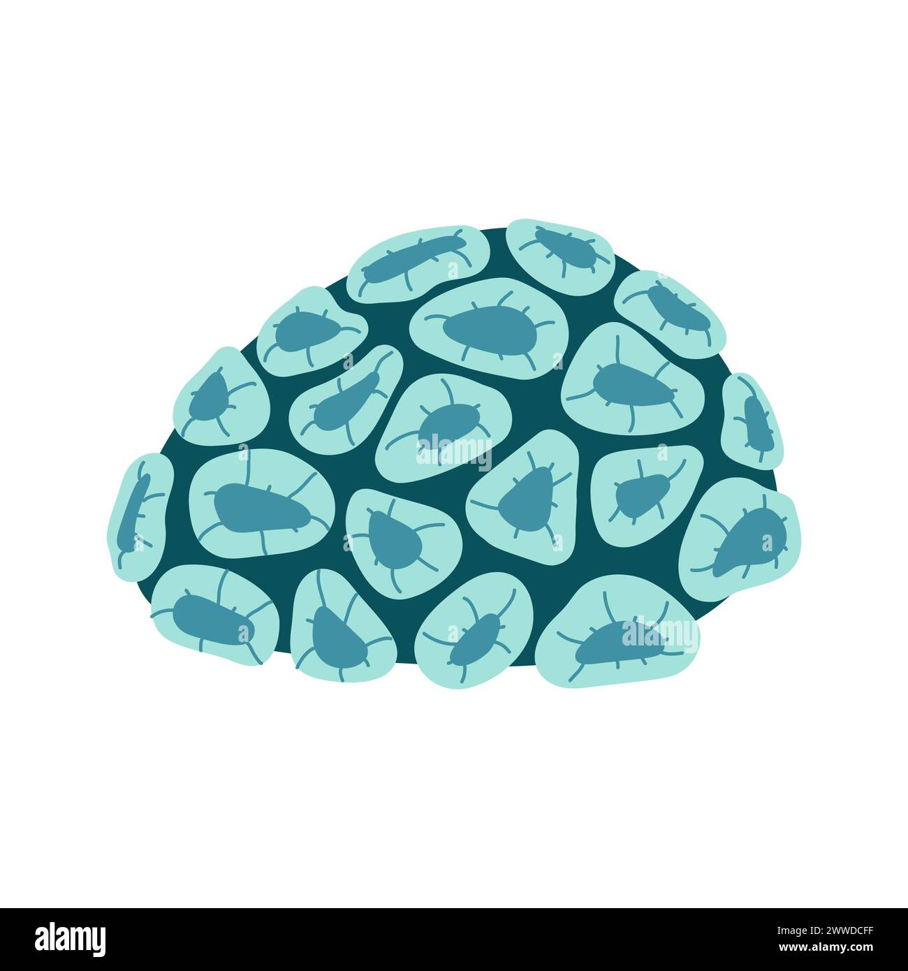 Palythoa coral polyps Corals colonies. Tropical waters fauna. Hand drawn Exotic coral reef underwater nature life. Vector illustration in a flat style isoated on a white background. Stock Vector