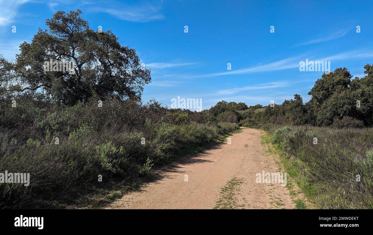 Hiking trail in the Casper wilderness park in southern California Stock Photo