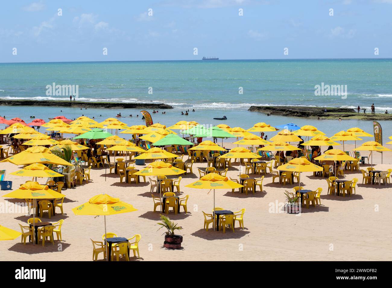 Recife, Brazil. 23rd Mar, 2024. PE - RECIFE - 03/23/2024 - RECIFE ...