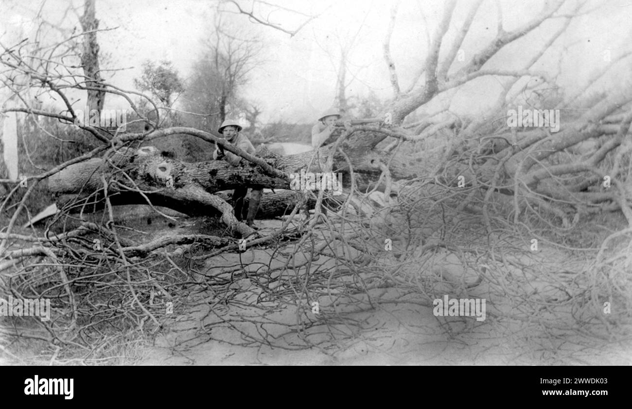 Soldiers crouch behind fallen trees Description: Photograph released to press as part of a publicity campaign to show the effectiveness of British forces operating in Ireland. Date: c.1920 ireland, tree, soldiers, blackandtans, colonialoffice Stock Photo