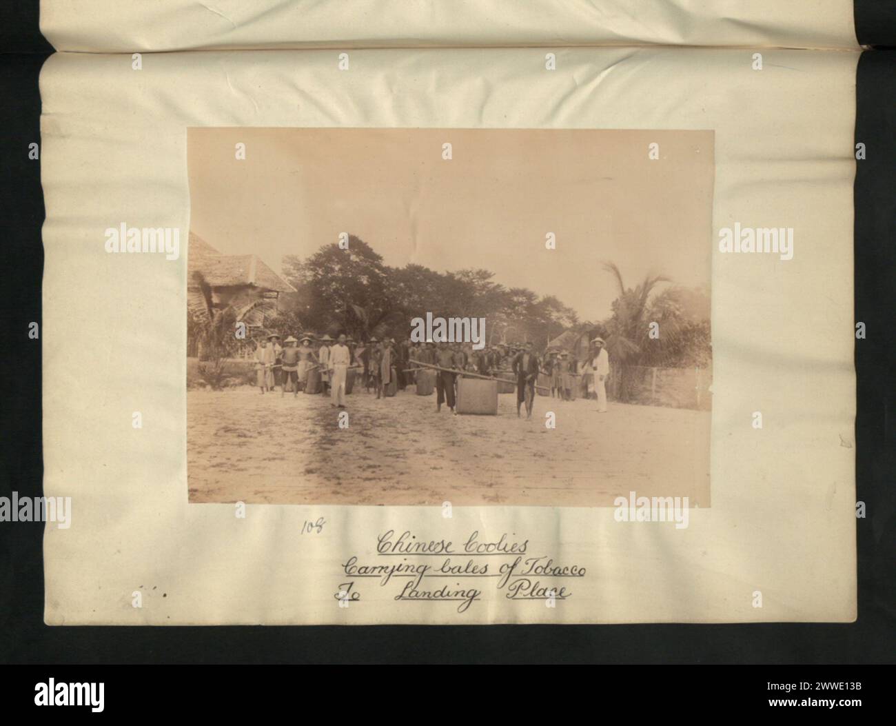 tobacco landing Photograph of Chinese coolies carrying bales of tobacco to a landing place  in Borneo, showing labor, transport, and trade activity Stock Photo