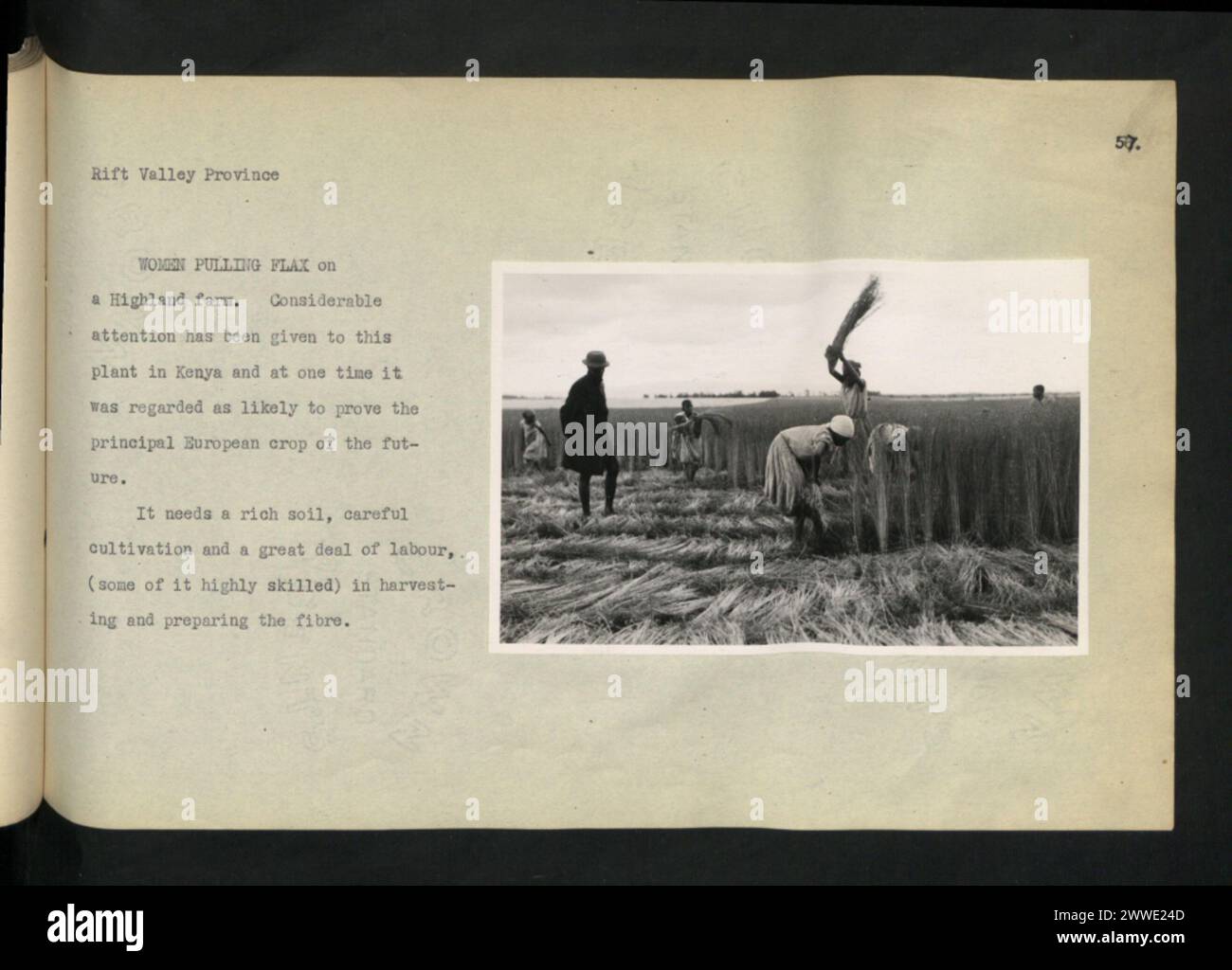Description Women pulling flax on a Highland farm. Location Rift