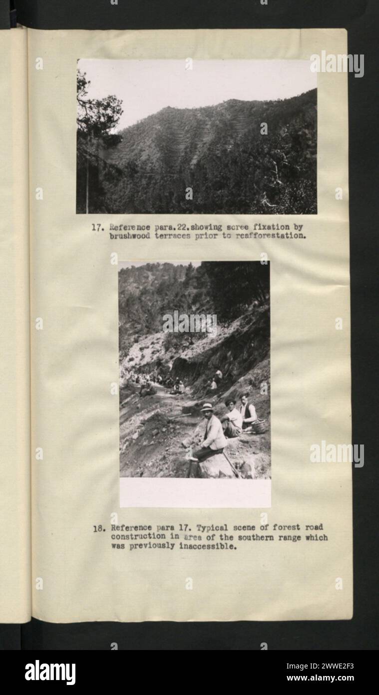 Forest Inaccessible In Cyprus between 1920 and 1939, scree fixation using brushwood ...