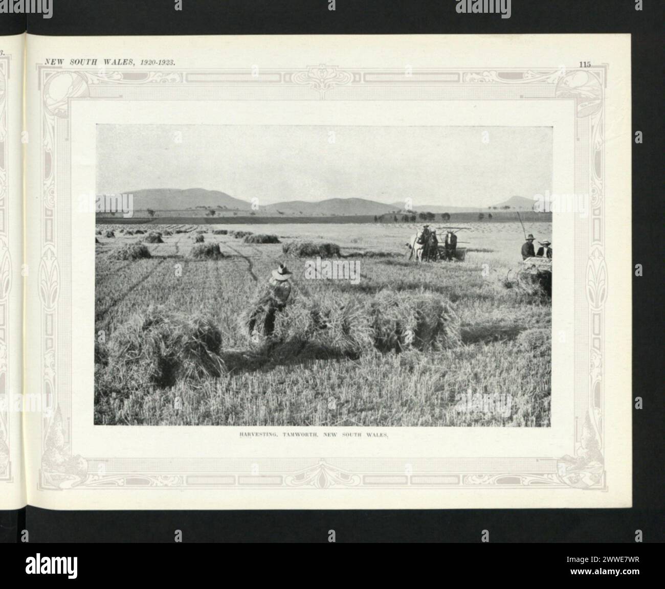 Description: Harvesting, Tamworth, New South Wales. Location: New South Wales, Tamworth, Australia Date: 1920 australia, australasia, oceania, australasiathroughalens Stock Photo