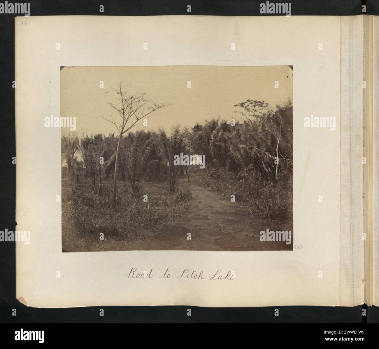 Description: Road to Pitch Lake. Location: Trinidad and Tobago Date ...