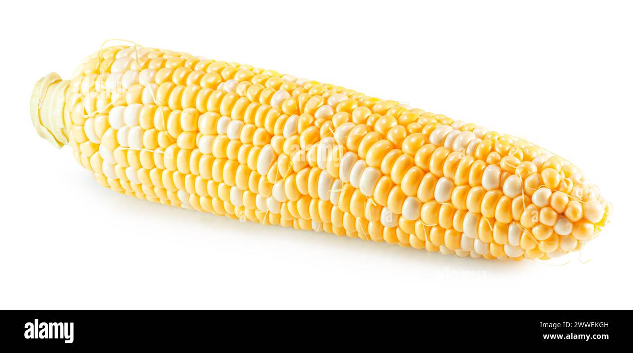 corn cob isolated on the white background. Clipping path. Stock Photo