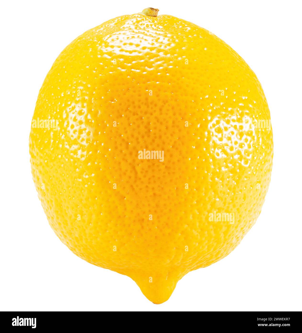lemon isolated on the white background. Clipping path. Stock Photo