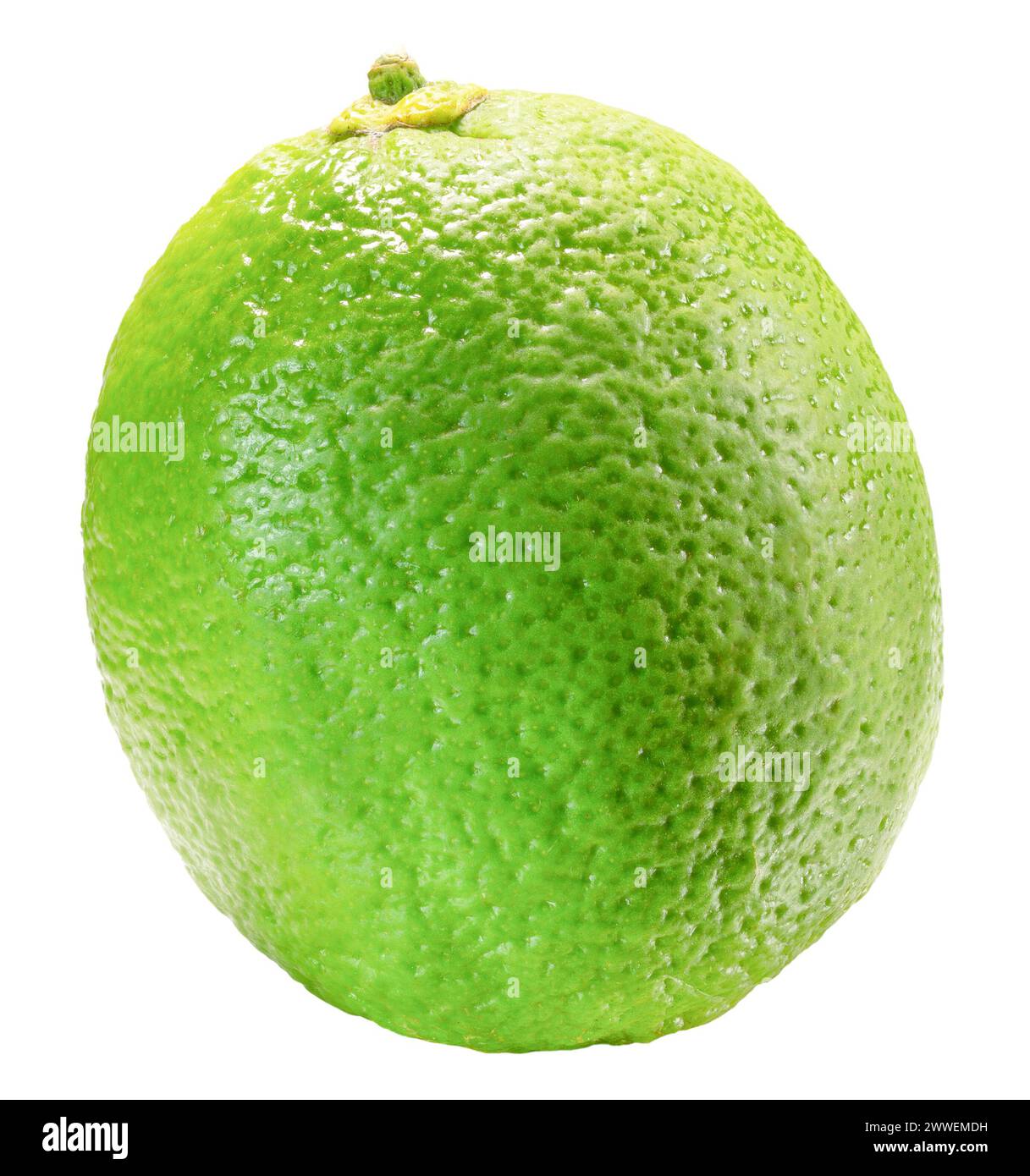 lime isolated on white background. Clipping path. Stock Photo