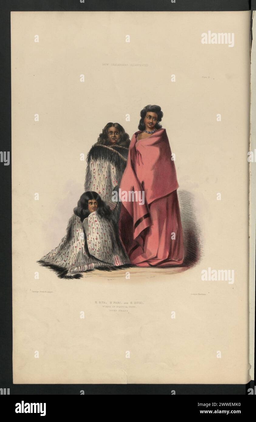 Hoki new zealand hi-res stock photography and images - Alamy