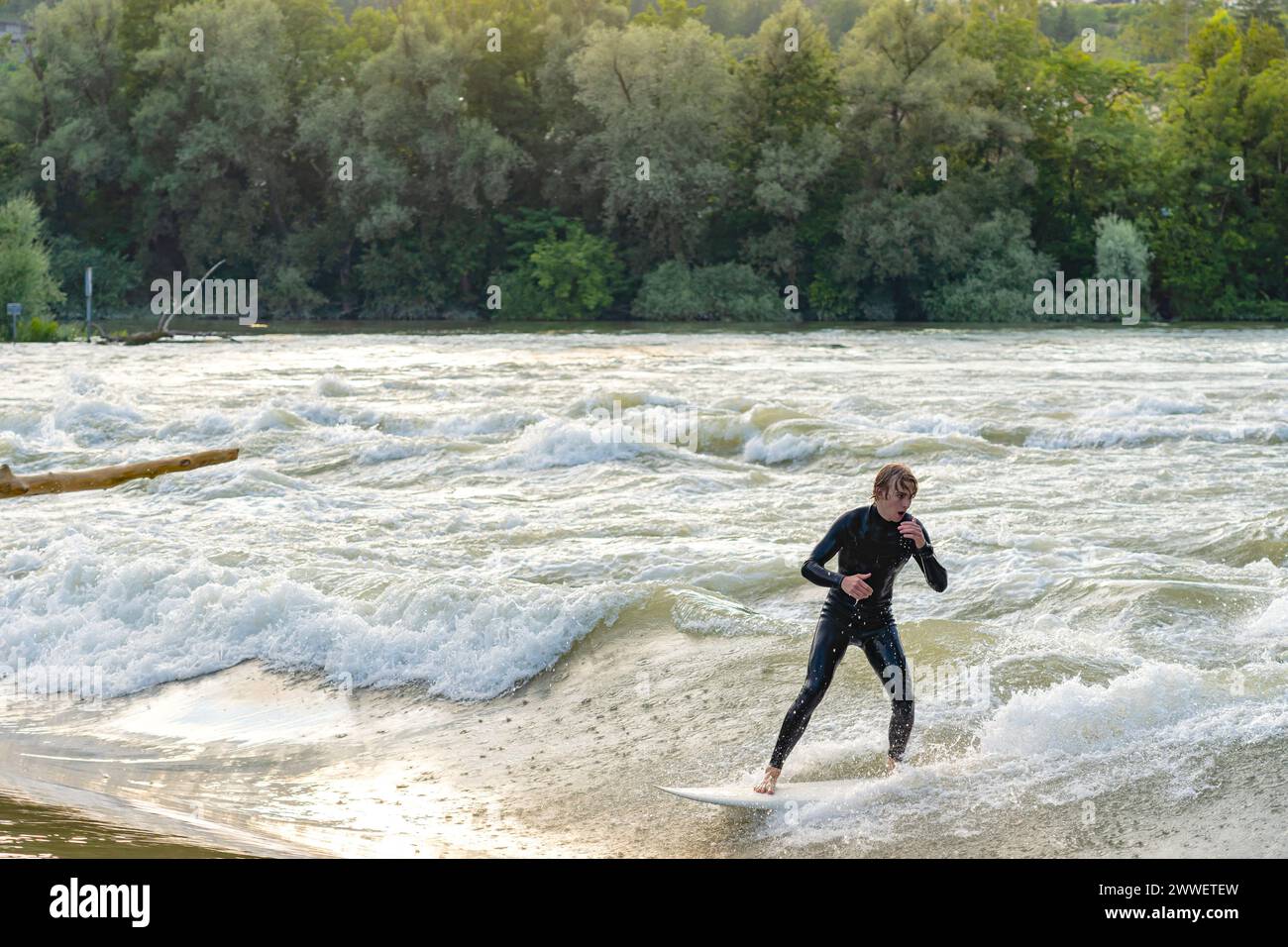 A young surfer wearing a wetsuit surfs in the Aare river during high tide. Stock Photo