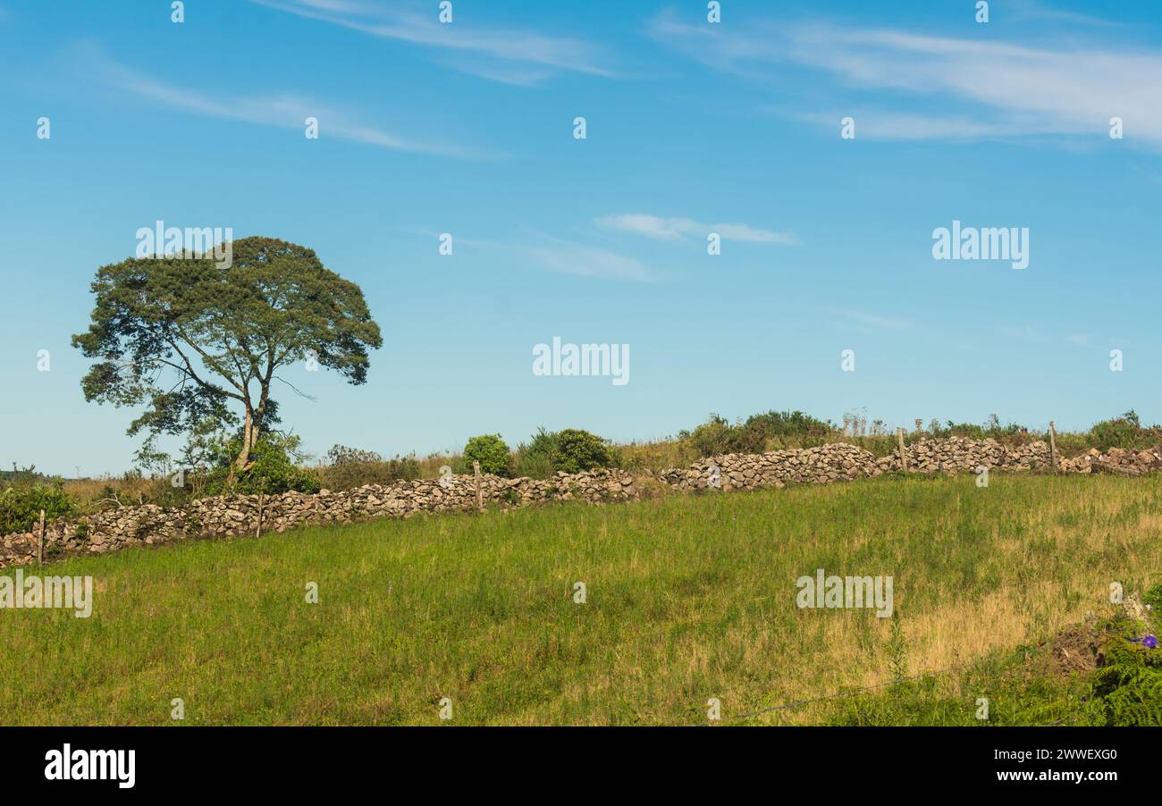 Muro de taipa hi-res stock photography and images - Alamy