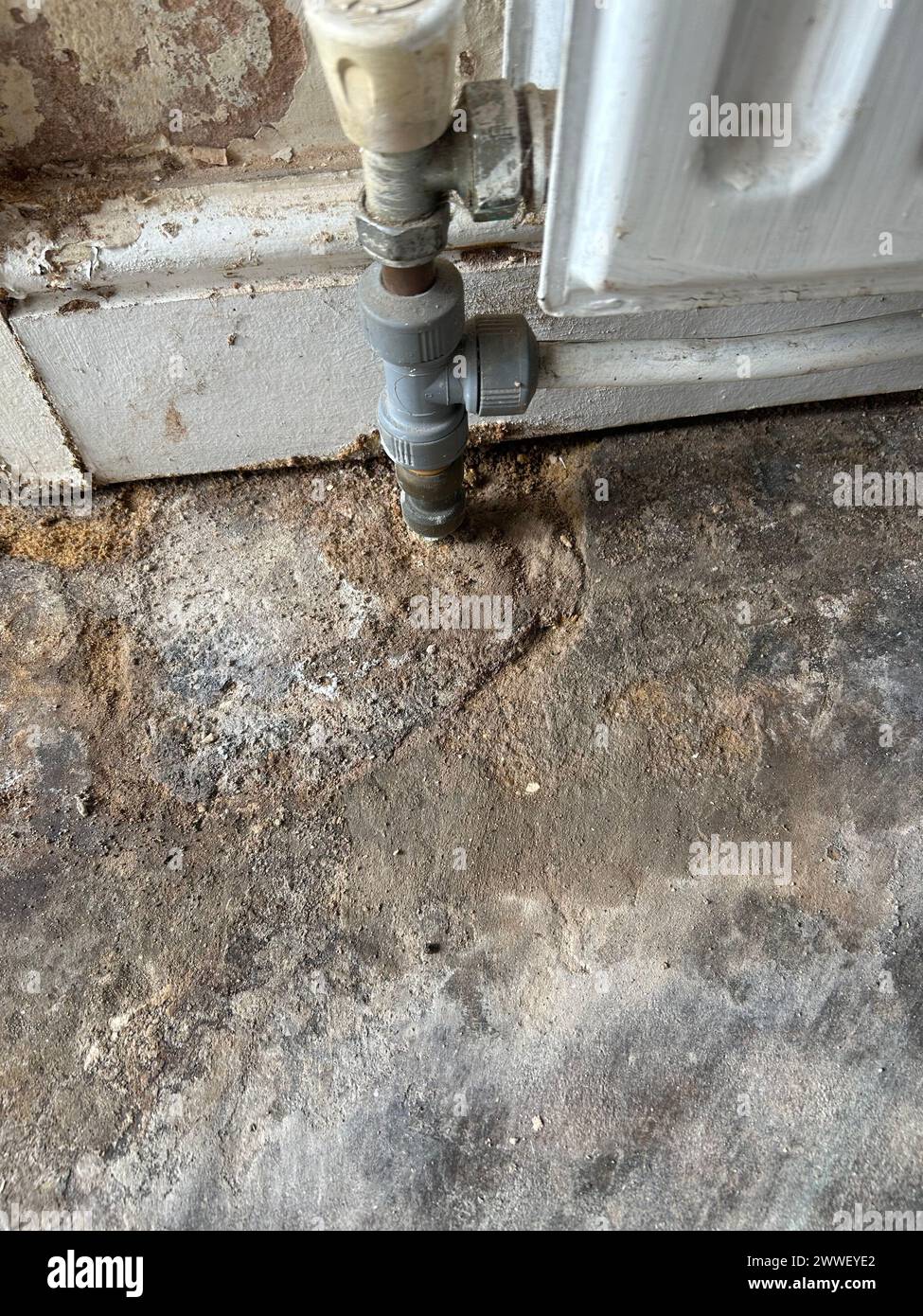 Rising damp showing damage in wood surrounds and plasterboard Stock Photo
