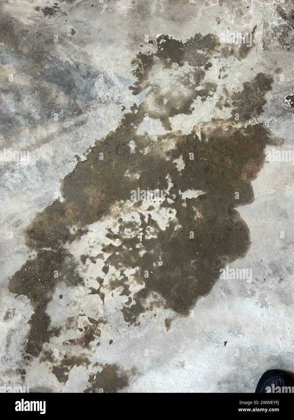 Water damage in concrete slab from buried leaking water pipe hires