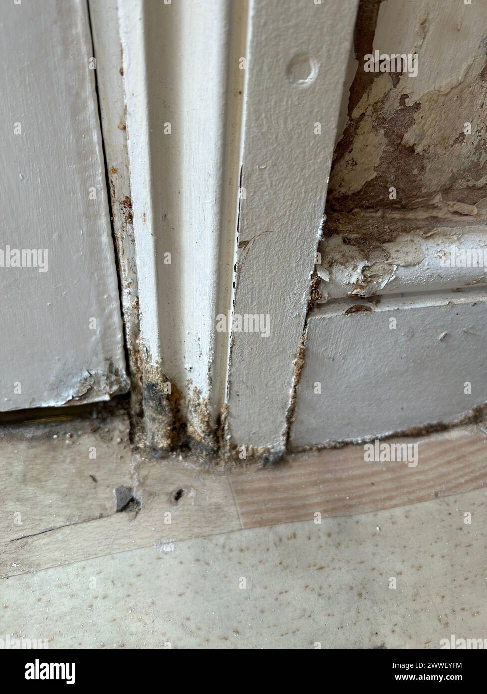 Rising damp showing damage in wood surrounds and plasterboard Stock Photo