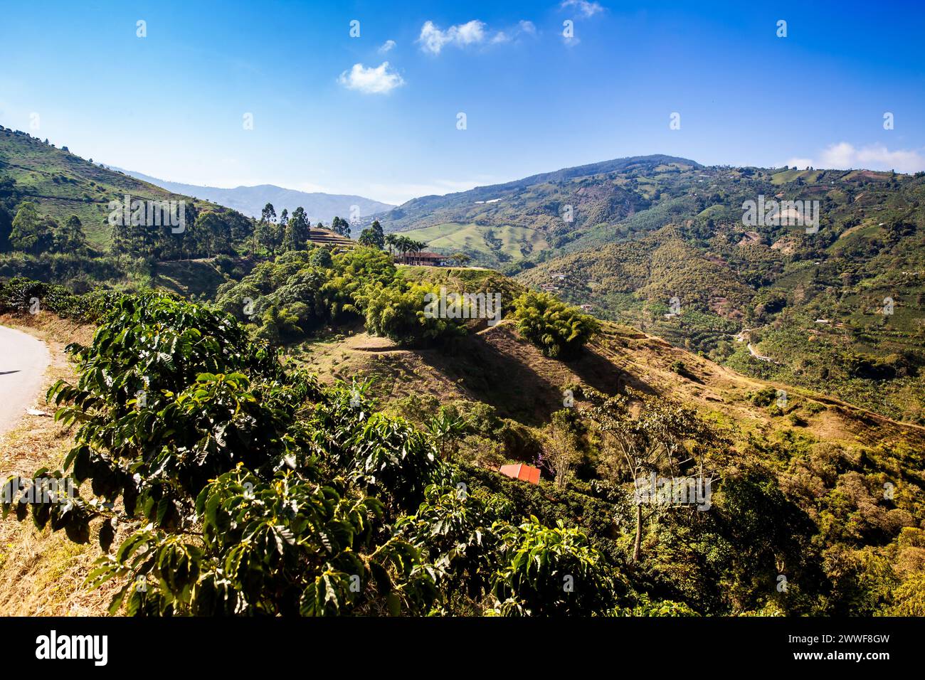 The beautiful Coffee Cultural Landscape of Colombia declared as a World ...