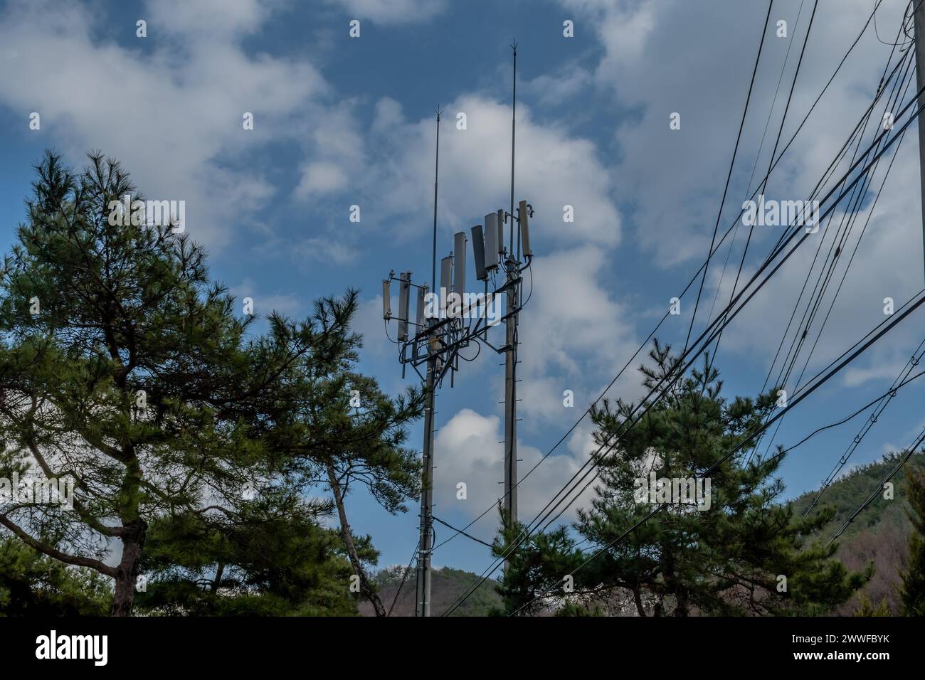 Cellphone tower between pine trees with beautiful cloudy blue sky in background in South Korea Stock Photo