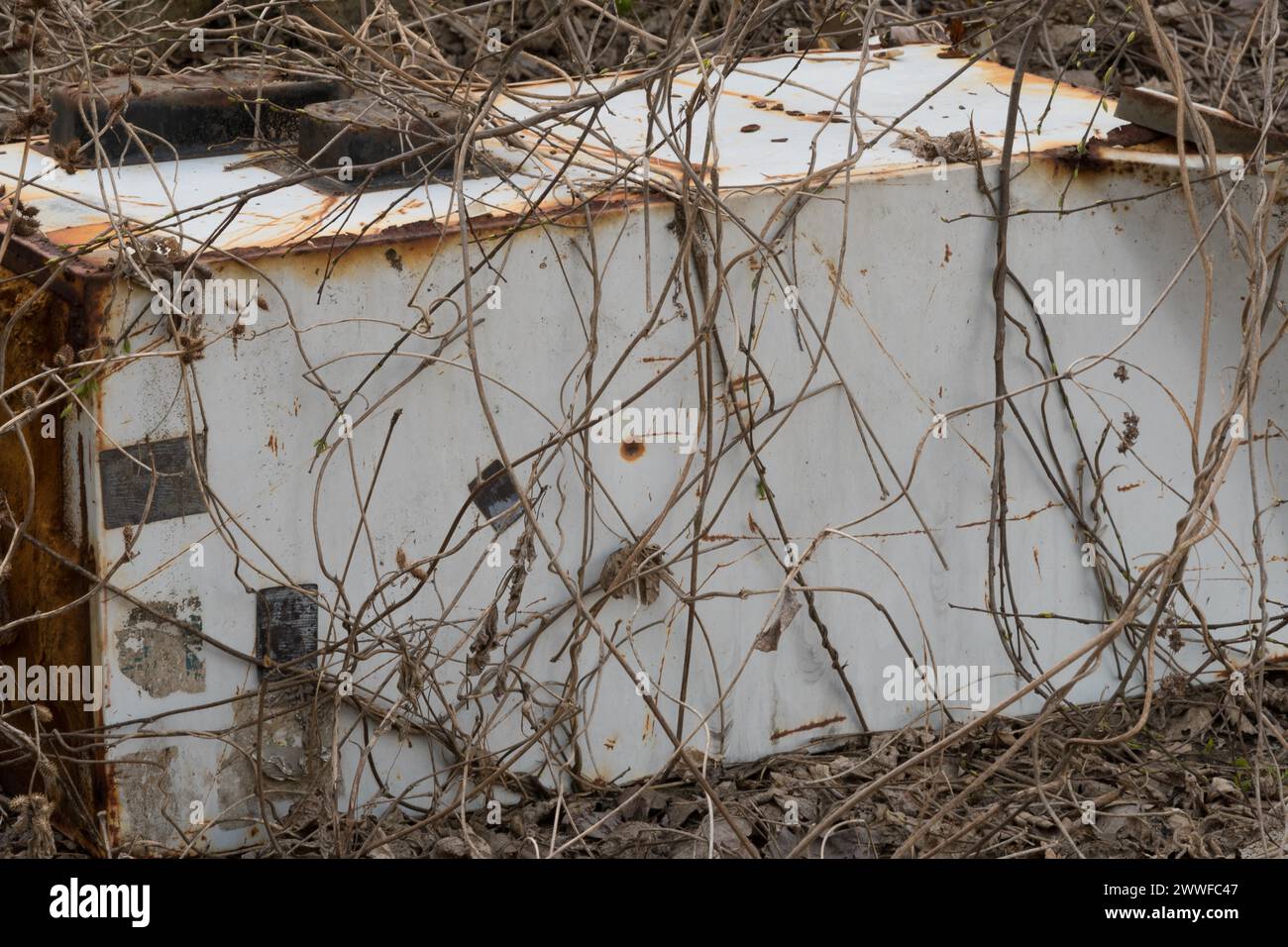 An old and rusty white storage container overgrown with branches, in South Korea Stock Photo