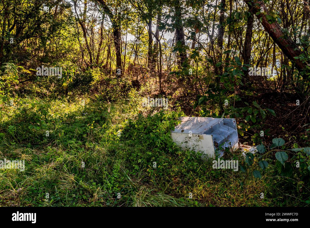 A white discarded appliance left in green underbrush, in South Korea Stock Photo