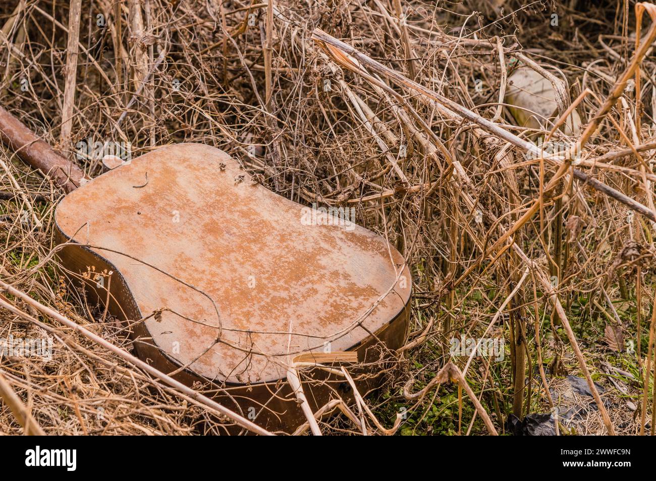 A old discarded guitar in overgrown grass, telling a story of decay and neglect, in South Korea Stock Photo