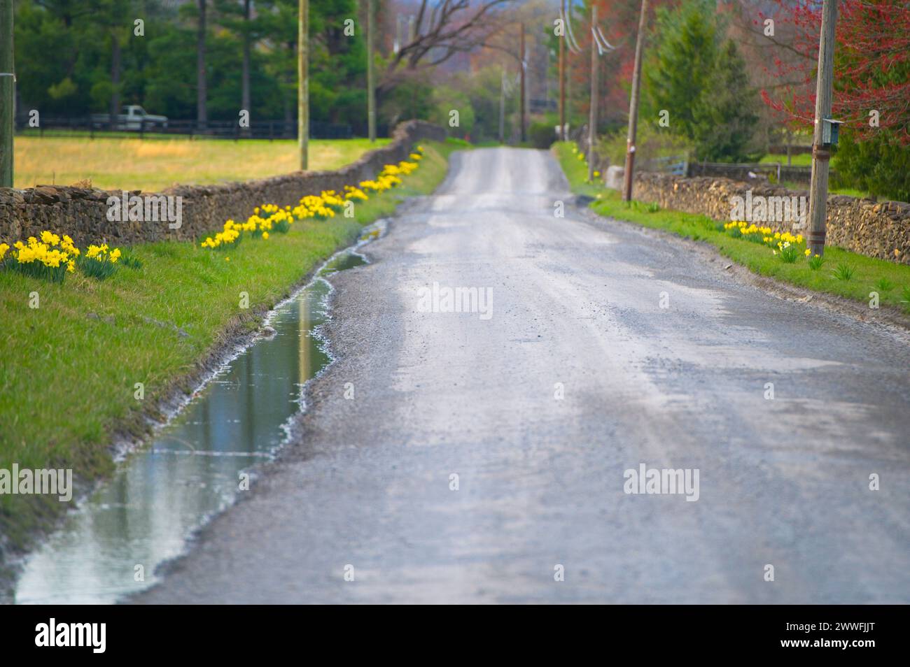 UNITED STATES - March 22, 2024: Spring is here regardless of the temperatures along Foggy Bottom Road near Bloomfield. (Photo By Douglas Graham) Stock Photo