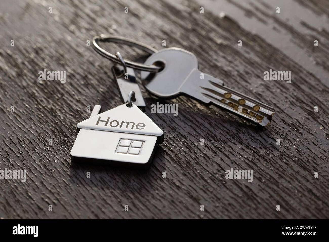 House symbol with silver keys on abstract background. Real estate concept Stock Photo