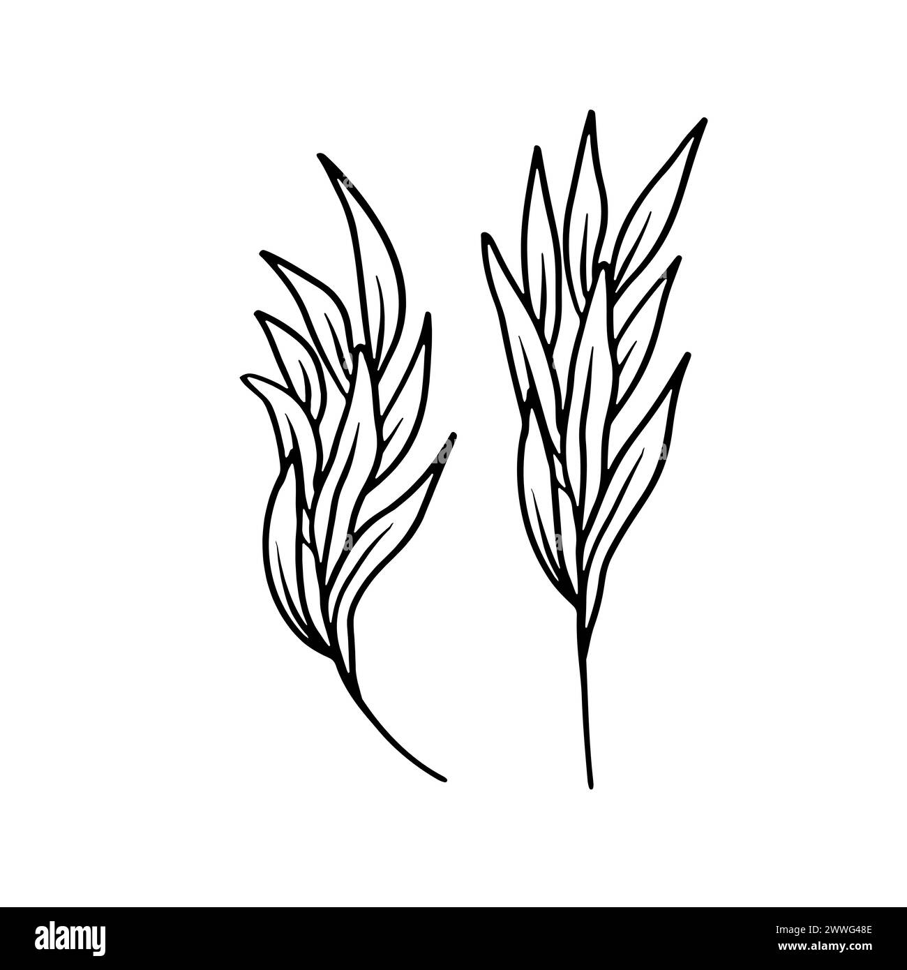Set of leaves black line art isolated on white Stock Vector Image & Art ...