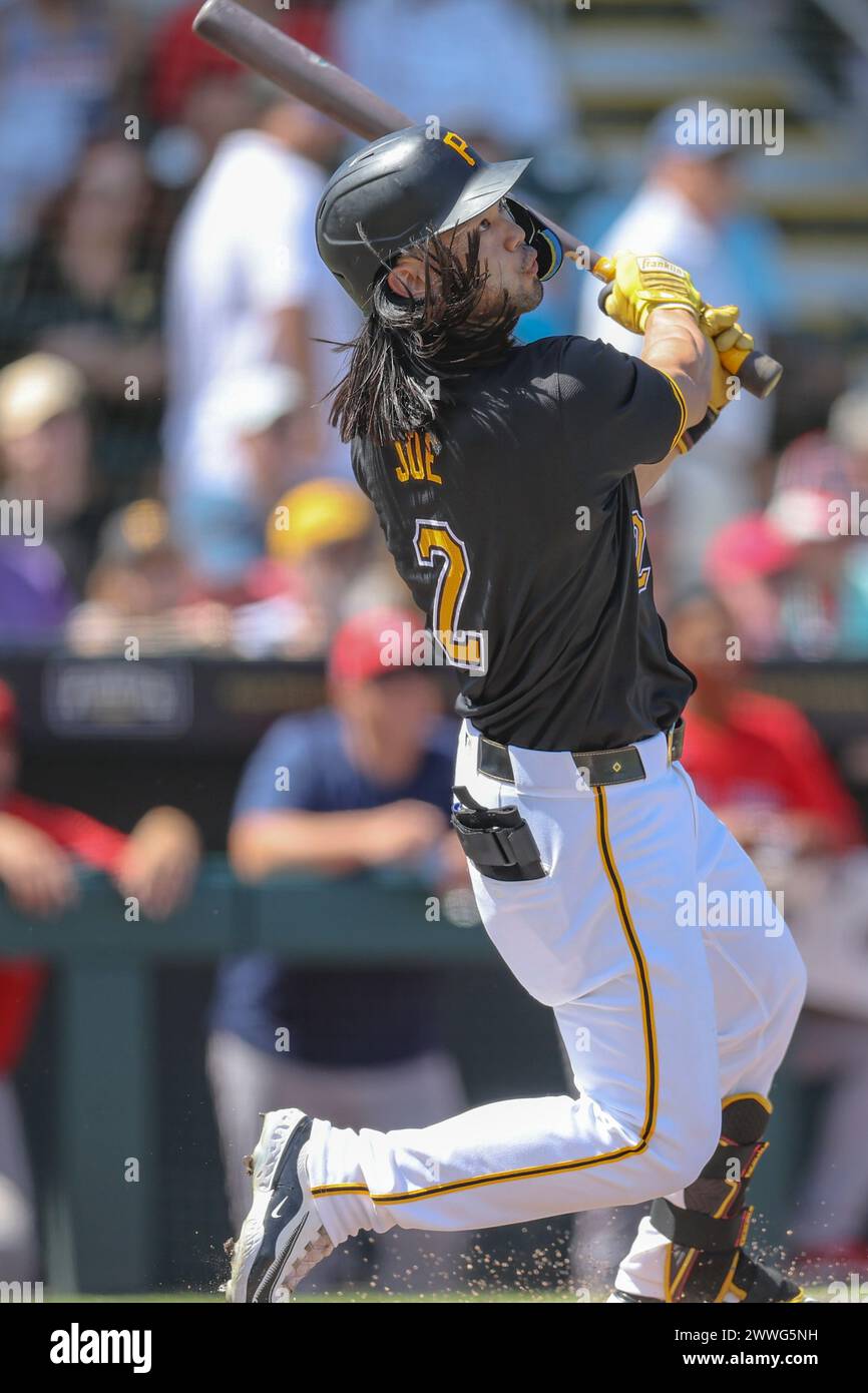 Bradenton, FL: Pittsburgh Pirates right fielder Connor Joe (2) hits a ...