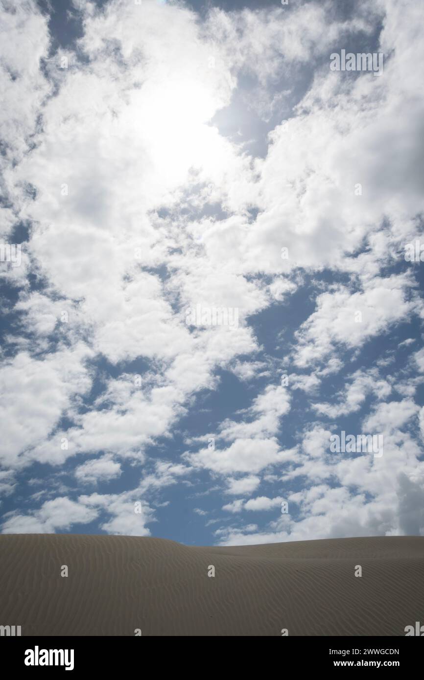 White clouds in blue sky over Sand dunes, Foxton, Manawatu, North Island, New Zealand Stock Photo