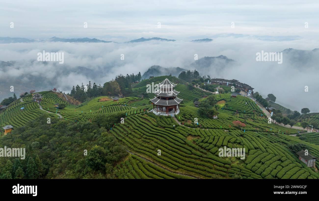 Nanning. 14th Mar, 2024. An aerial drone photo taken on March 14, 2024 ...