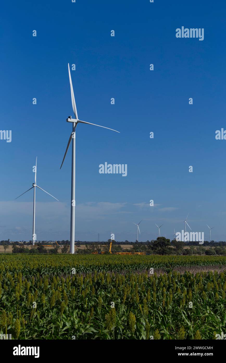 Dulaccu Wind Turbine Farm 181-megawatt wind farm located in Queensland, Australia. Stock Photo