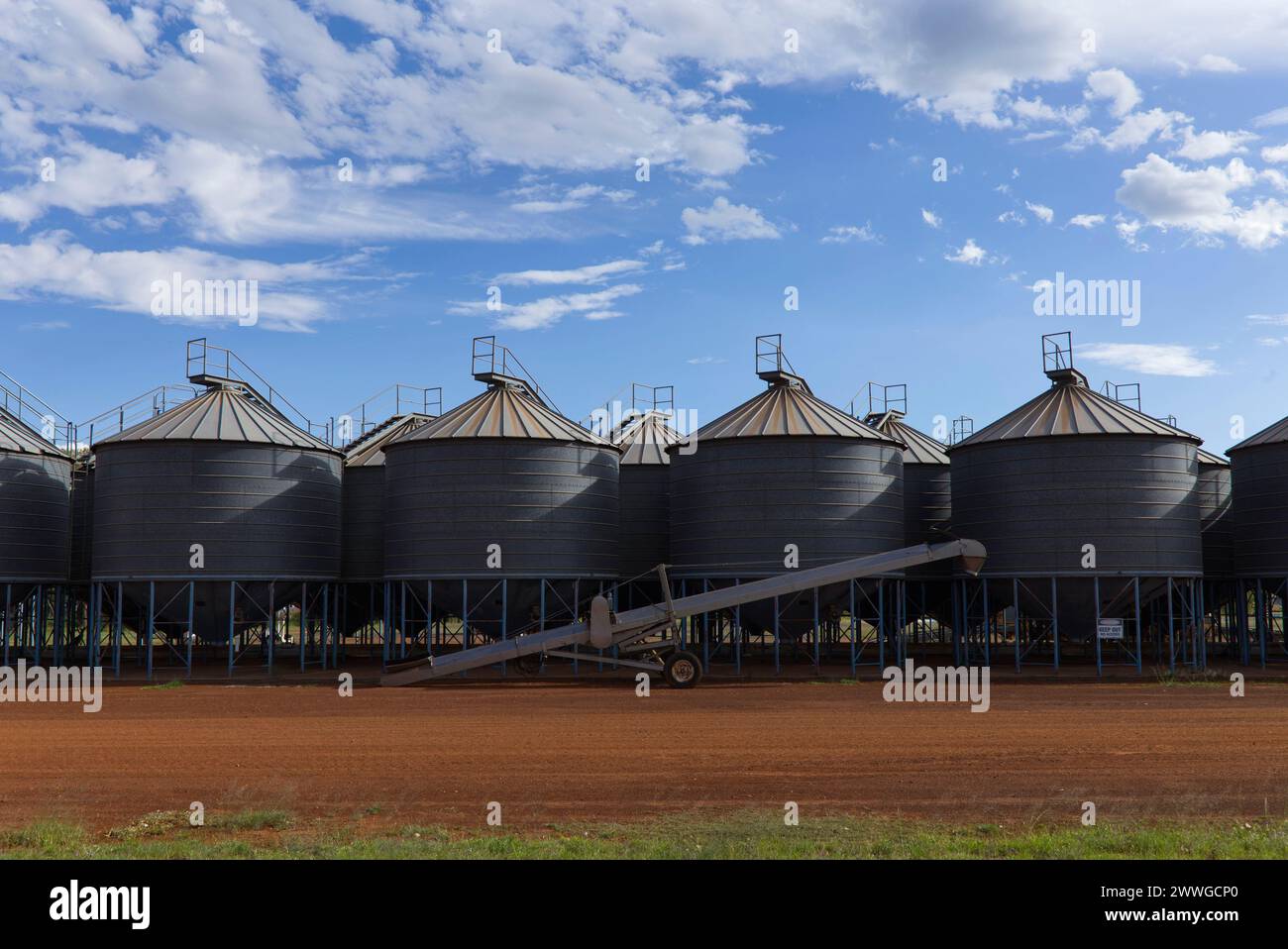 Steel metal grain silos containg wheat and barley at Grain Corp Depot Miles Queensland Australia Stock Photo