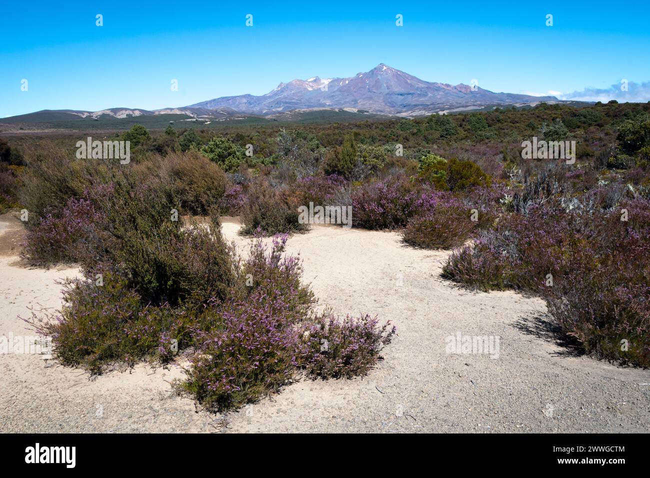 Mount Ruapehu, Tongariro National Park, North Island, New Zealand Stock Photo