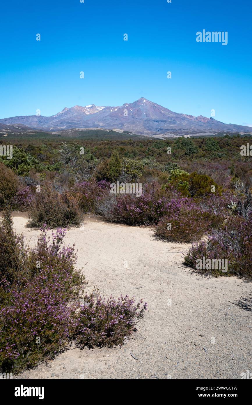 Mount Ruapehu, Tongariro National Park, North Island, New Zealand Stock Photo