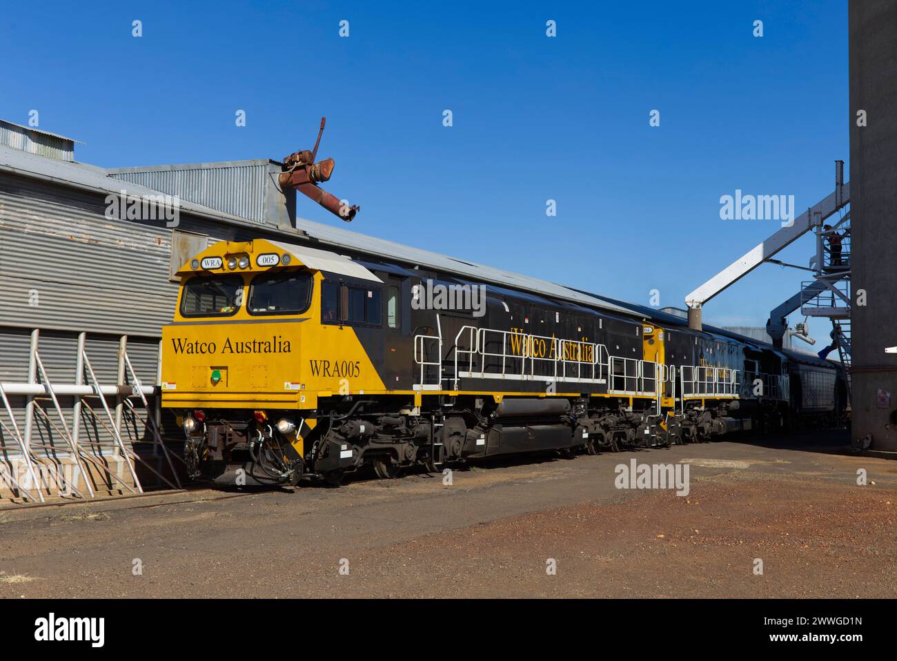 Watco Train WRA005 outloading H2 grade wheat from silos at GrainCorp Roma West Depot Roma Queensland Australia Stock Photo