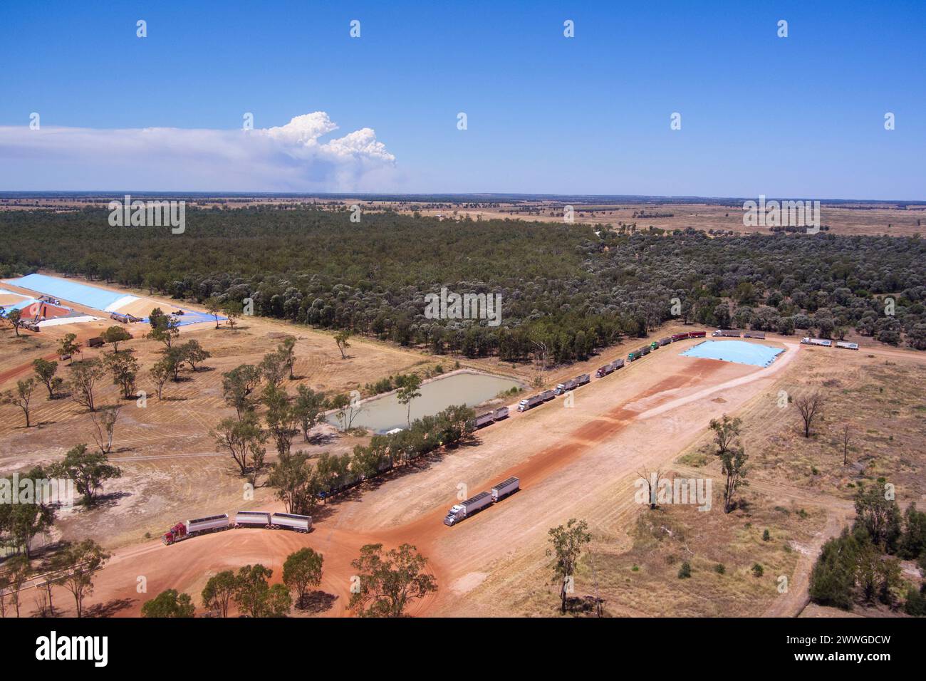 Aerial of The Gums GrainCorp Depot out loading wheat from their depot on the  Darling Downs Queensland Australia Stock Photo