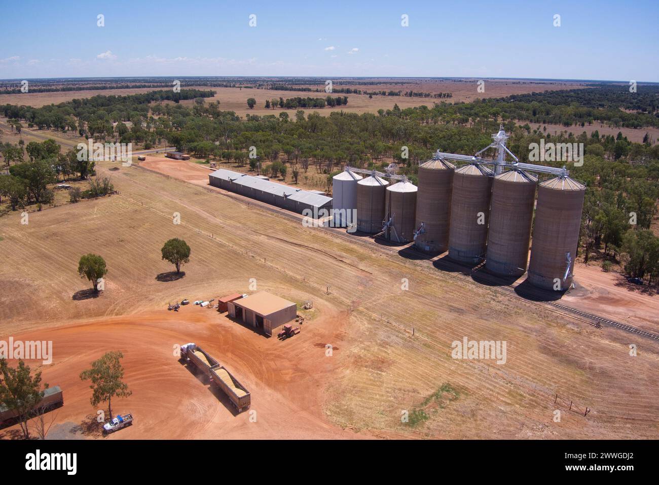 The Gums GrainCorp Depot on the  Darling Downs Queensland Australia Stock Photo