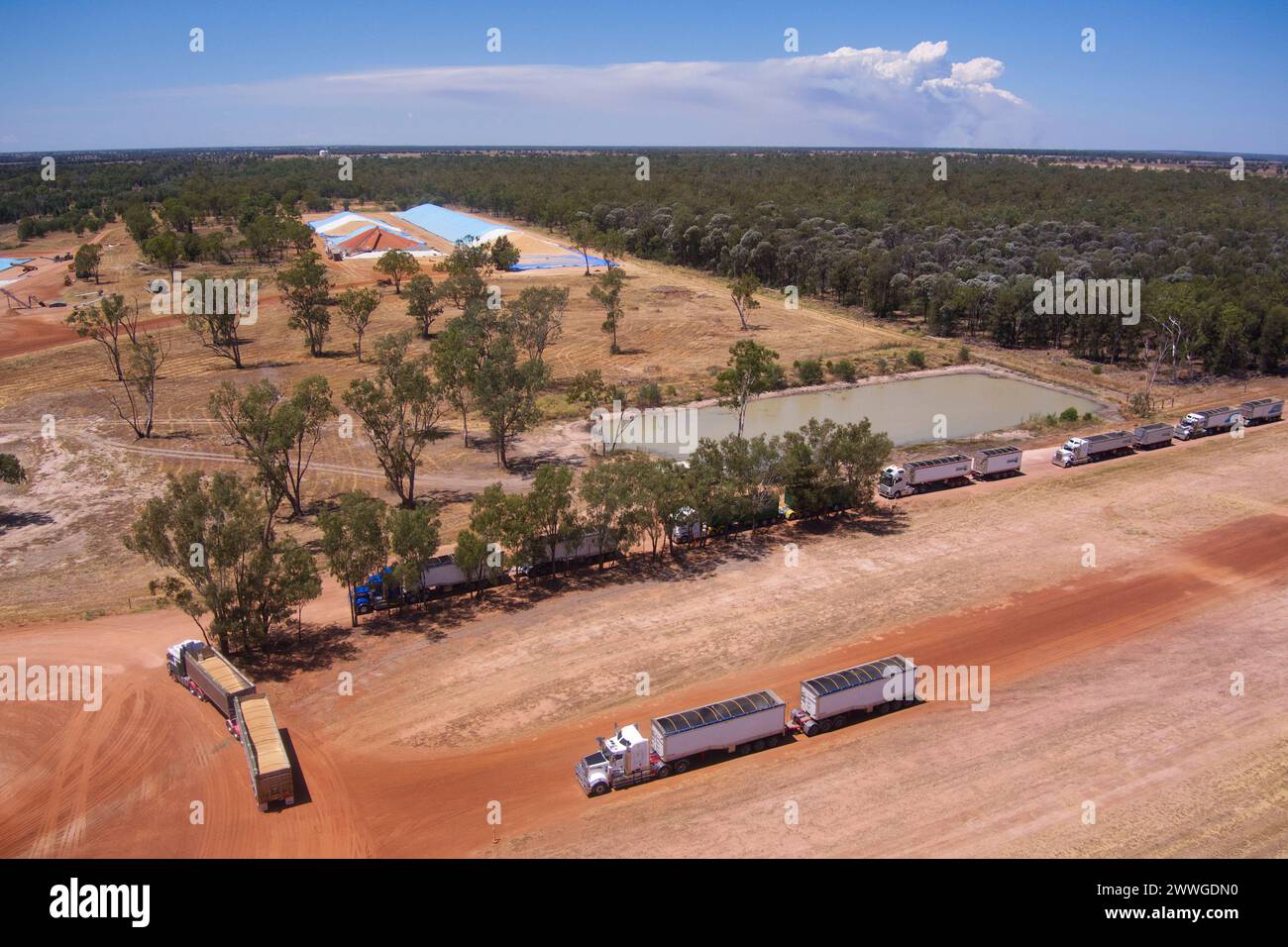 The Gums Grain Corp Depot on the  Darling Downs Queensland Australia Stock Photo