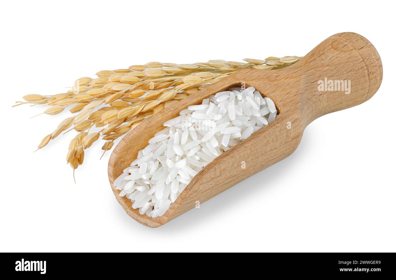 rice in scoop with ears isolated on white background Stock Photo - Alamy